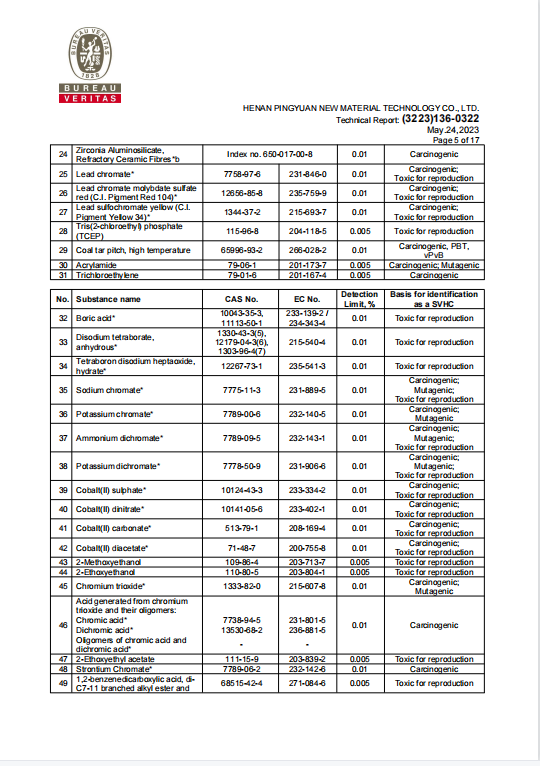 RGPPS REACH 報告 4