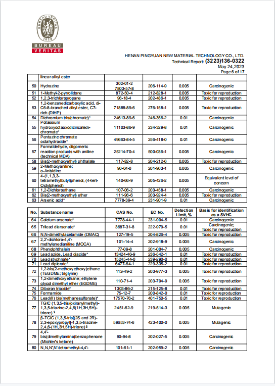 RGPPS REACH 報告 5